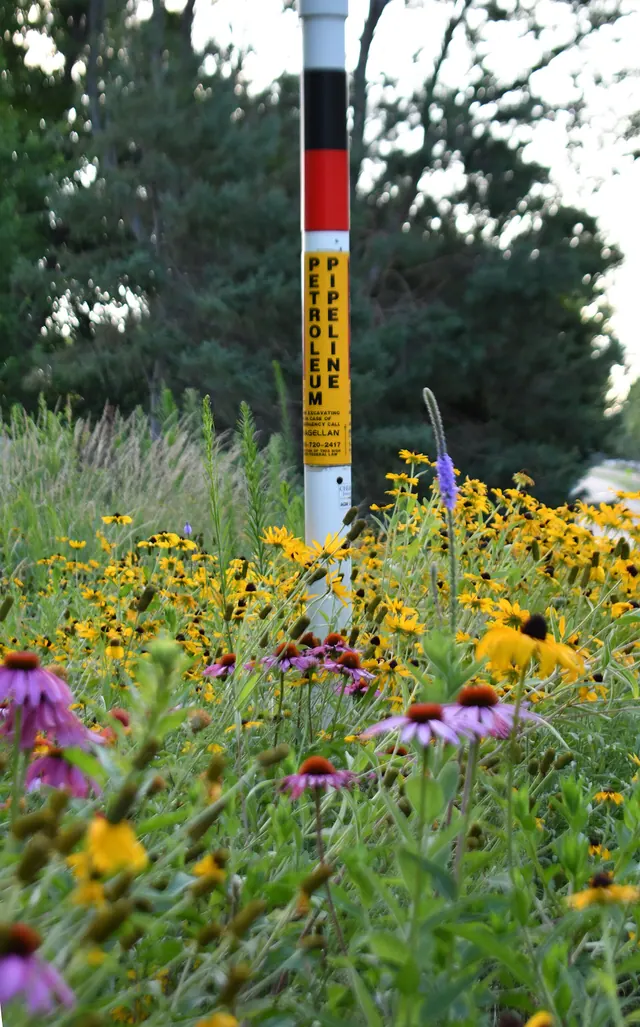 Establishing pollinator habitat on pipeline rights-of-ways showcases how we work with the energy industry integrate energy demands and wildlife conservation. Photo by Mara Koenig/U. The practical 2027 guide to B2B lead generation