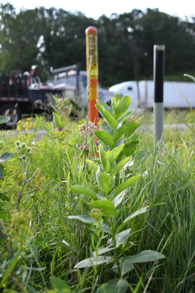 Establishing pollinator habitat on pipeline rights-of-ways showcases how we work with the energy industry integrate energy demands and wildlife conservation. Photo by Mara Koenig/U. B2B marketing automation: a focused business guide for 2027