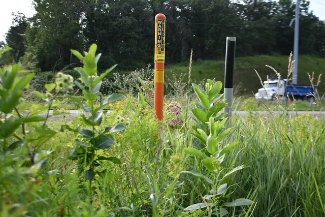 Establishing pollinator habitat on pipeline rights-of-ways showcases how we work with the energy industry integrate energy demands and wildlife conservation. Photo by Mara Koenig/U. B2B SaaS marketing: a practical guide for 2027