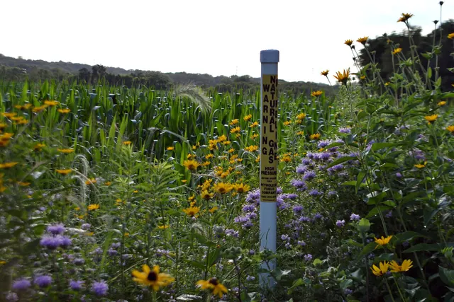 Establishing pollinator habitat on pipeline rights-of-ways showcases how we work with the energy industry integrate energy demands and wildlife conservation. Photo by Mara Koenig/U. The practical 2027 guide to B2B social media marketing